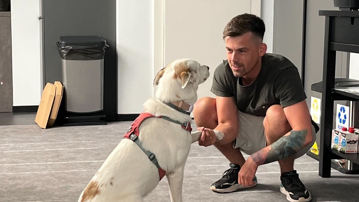 Radosław with a dog in the office